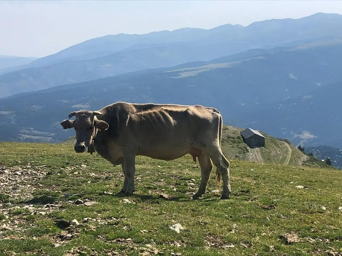 Willa Panoramic Xalet La Molina Con Vistas Excelentes La Molina (Girona)